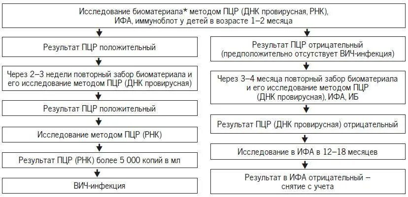 Ифа отрицателен. Алгоритм диагностики методом ифа вич. исследование крови в ифа на вич инфекцию. пцр диагностика вич инфекции. пцр метод исследования.