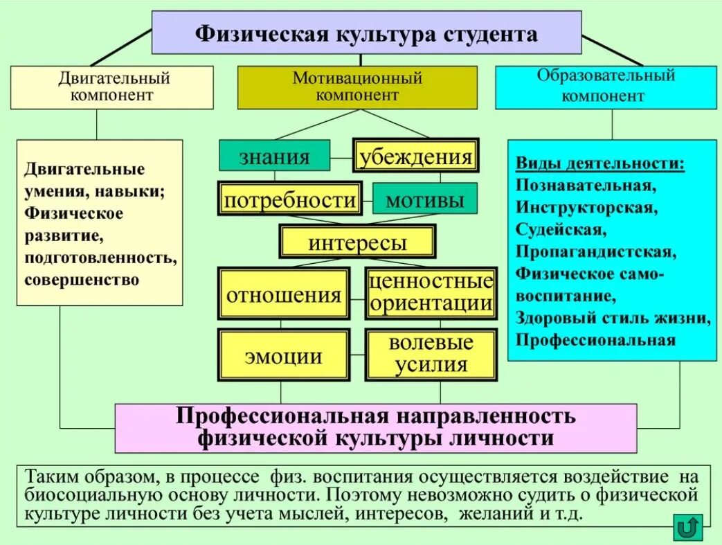 Что входит в содержание физической культуры. Структура физической культуры личности. понятие физическая культура. компоненты физической культуры студентов. структура физической культуры студента.