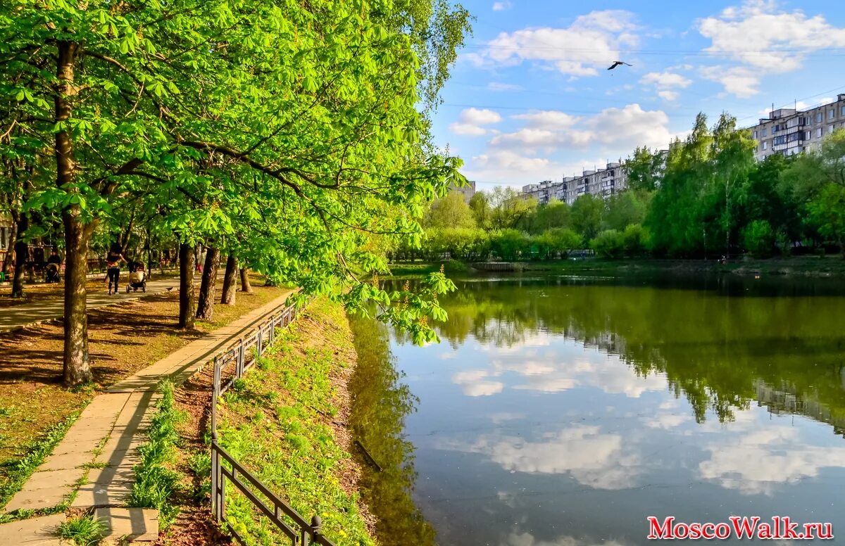 Вода новогиреево. Новогиреевский пруд в москве. Архирейка москва пруд богородское москва. Казенный пруд москва. Пруд в перово.