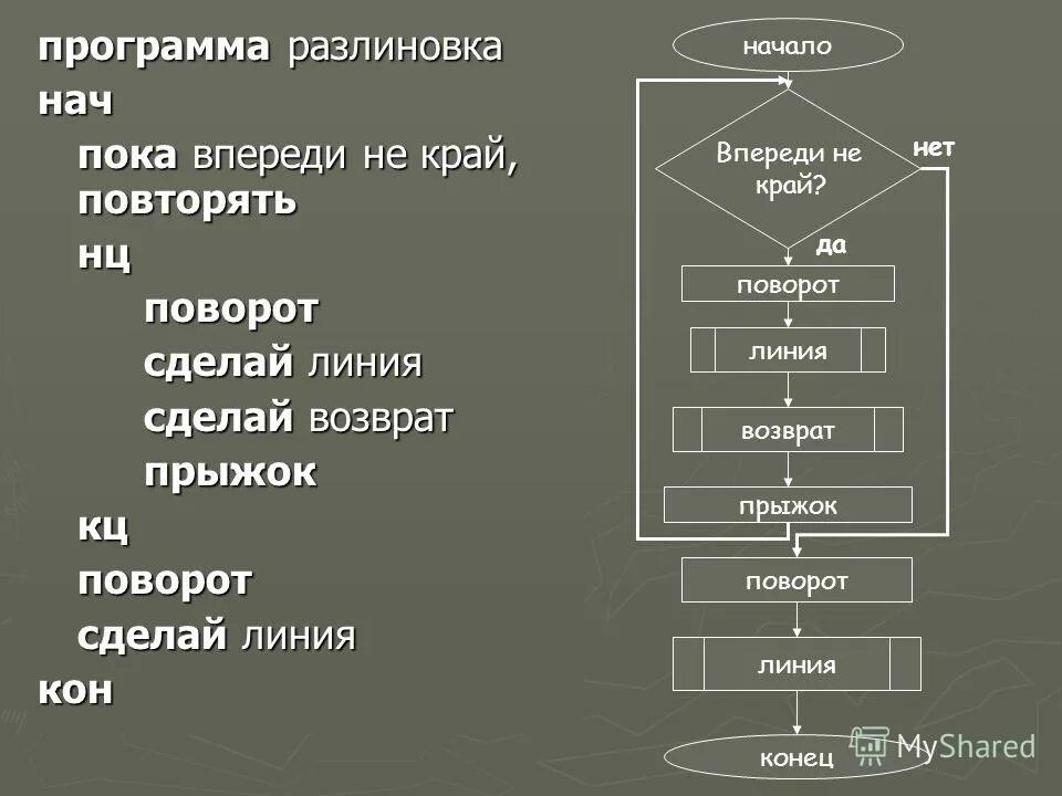 Вопросы по теме алгоритмы. Вопросы по теме алгоритмы