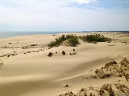 Погода на куршской косе калининградской