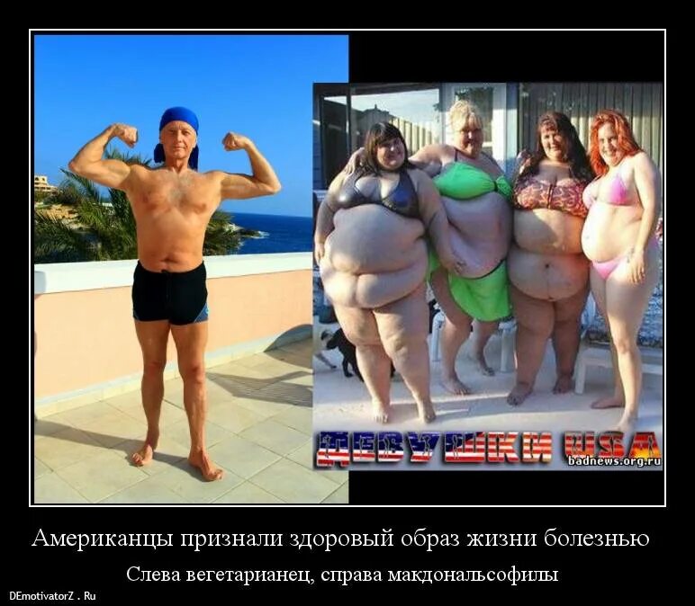 Смешное про зож. Здоровый образ жизни демотиваторы. шутки про здоровый образ жизни. зож прикол. образ жизни приколы.
