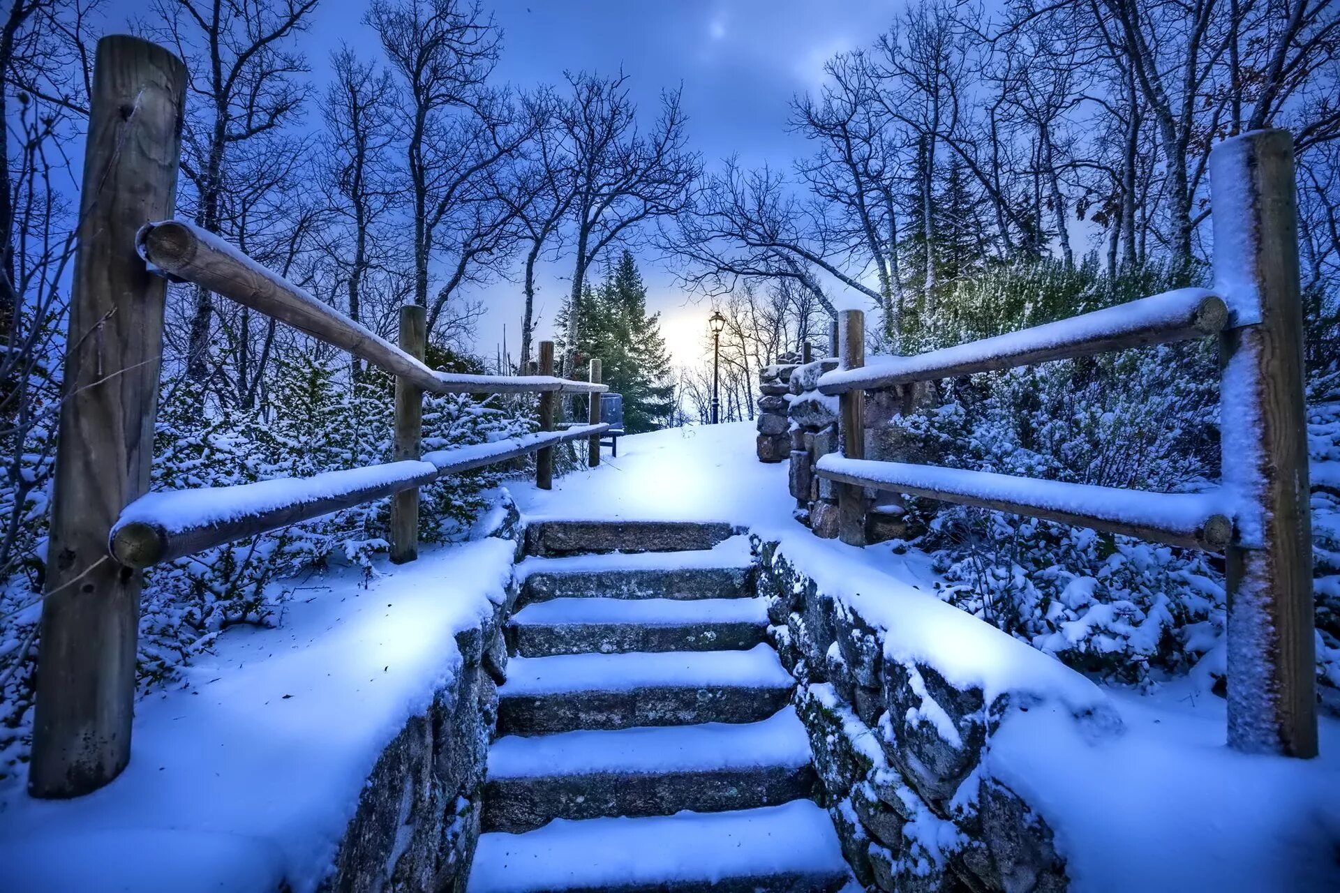 Зимние ступени. Лестница в зимнем парке. Лестница в снегу. Мостик в зимнем парке. Зимняя тропинка в городе.