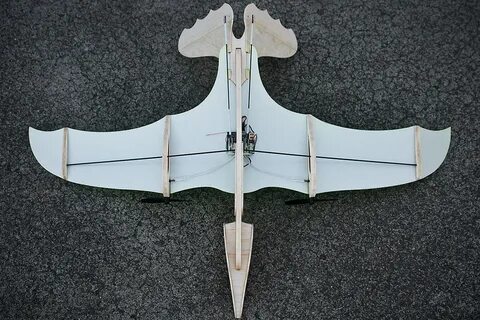 Pterodactyl installer