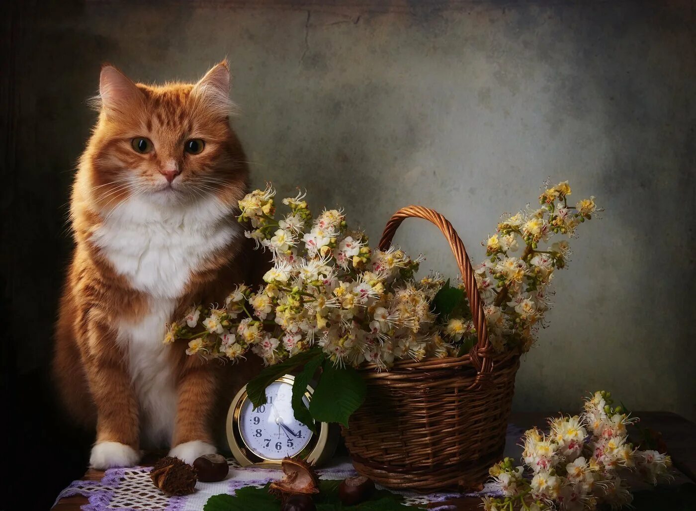 Добрые картинки котиков. Геннадий Варжен кот. Добрый вечер рыжий кот. Добрый вечер кот. Добрый вечер с котиками.