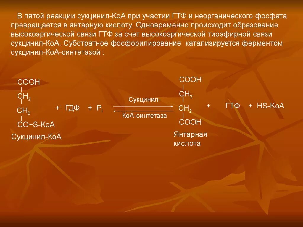 Коа 5. Окисление углеводов реакция. Реакция с участием сукцинил КОА. Сукцинил КОА В сукцинил фосфат. Тиоэфирная связь реакция.