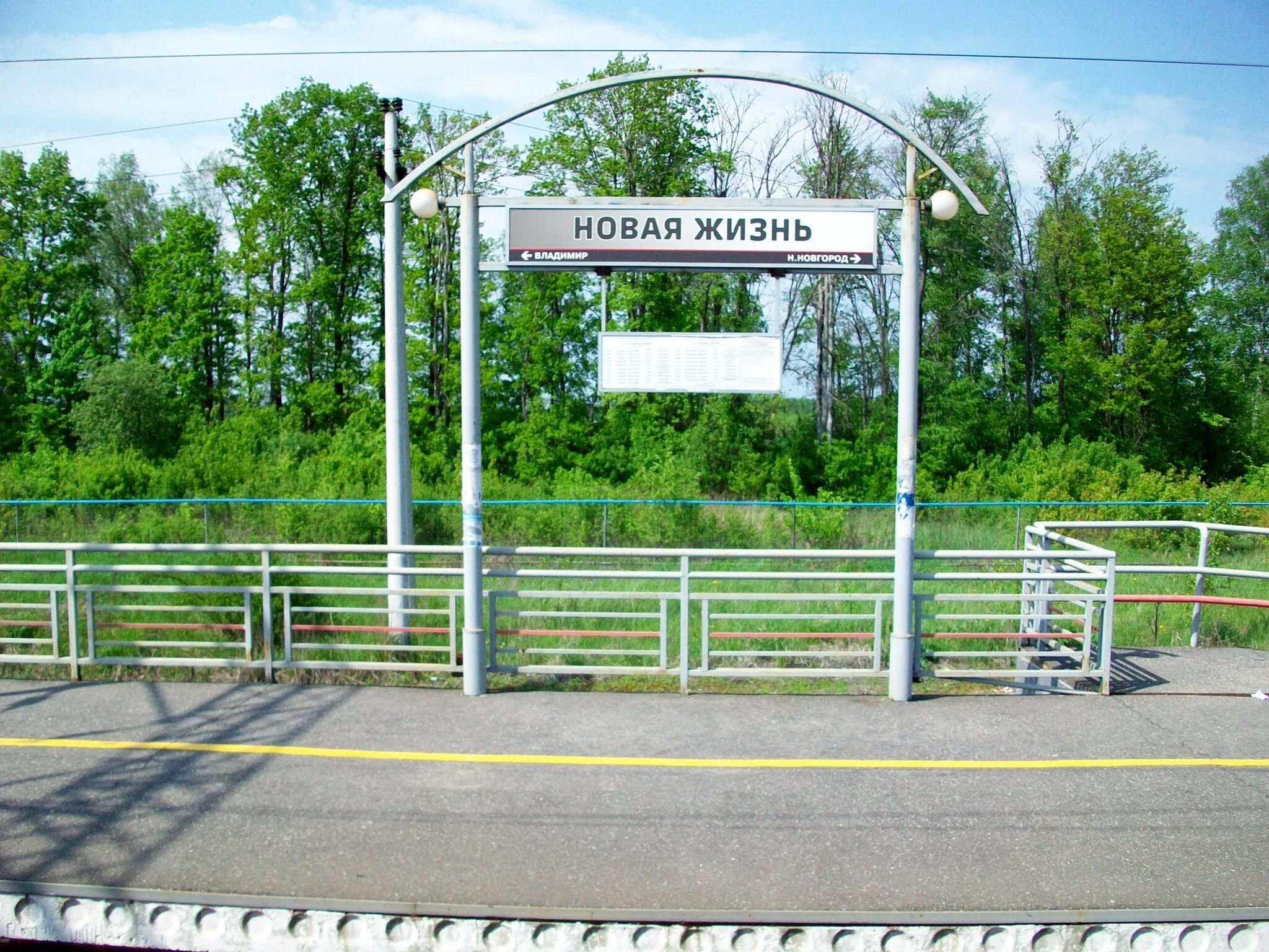 Новая жизнь южная. Тк новая жизнь. Новая жизнь логотип. Новая жизнь. Новая жизнь южная.