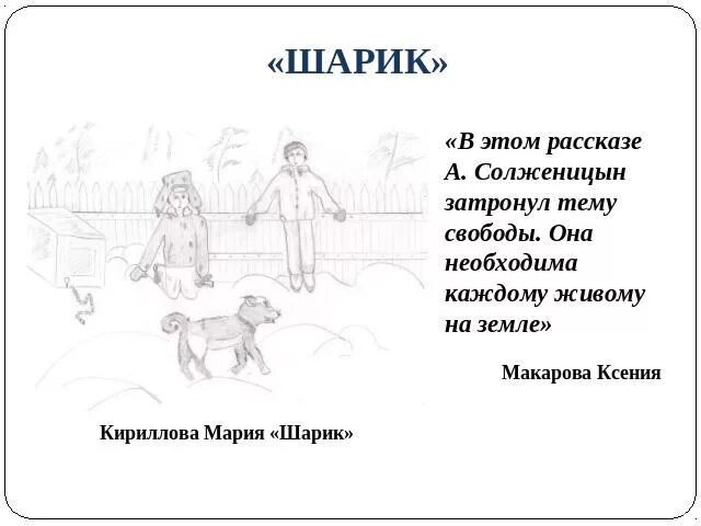 Солженицын утенок читать. Солженицын шарик. Солженицын а. "крохотки". Рассказ шарик Солженицына. Солженицын шарик иллюстрации.
