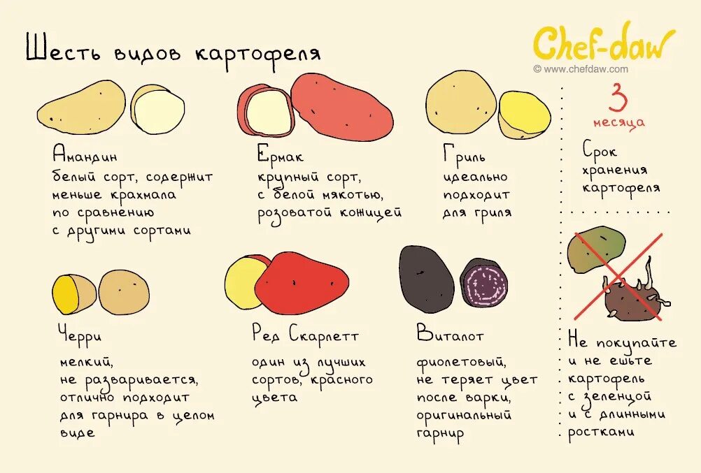 Какой картофель для жарки какой для варки. Chef daw советы. картофель инфографика. картофель рецепт в картинках. советы по приготовлению овощей.
