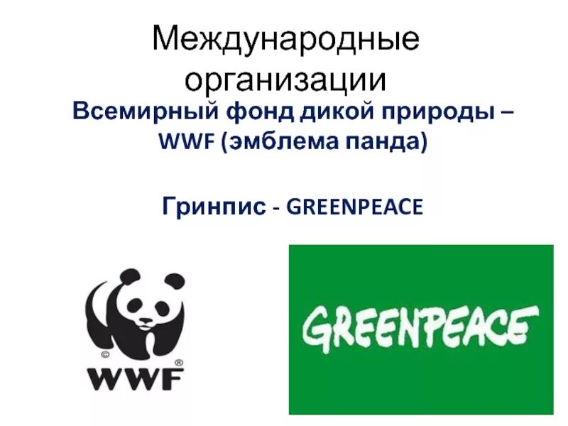 Международный всемирный фонд. Гринпис Всемирный фонд дикой природы. Панда эмблема Всемирного фонда дикой природы. WWF - Всемирный фонд дикой природы задачи. Всемирный фонд природы WWF логотип.