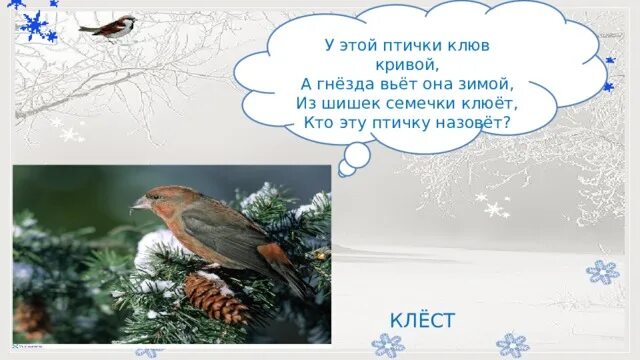 Как зимой помочь птицам 1 класс окружающий. Как зимой помочь птицам 1 класс окружающий