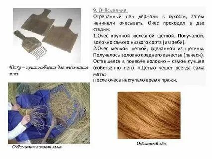 Очеса это