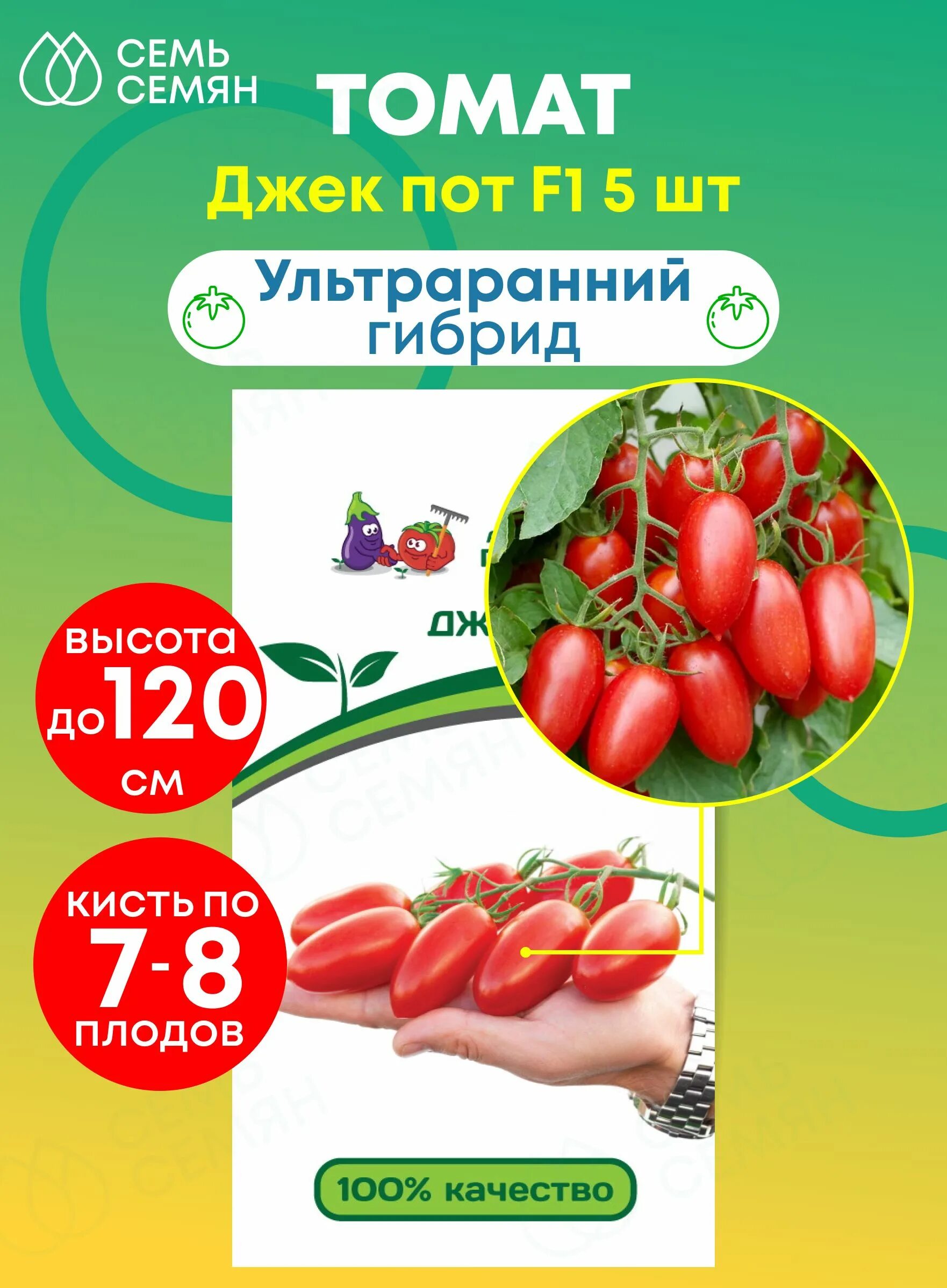 Агрофирма Партнер / Семена Томат "Сокровище Инков", F1, 10 шт Томат - 3. Семена 