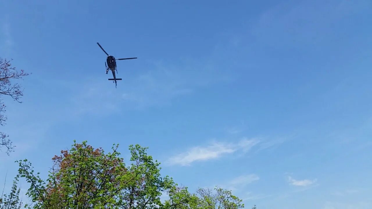 Вертолет над ступино. Вертолет над джунглями. Боевой вертолет над верхушками деревьев. Вертолеты над Курском. Вертолеты над киевским водохранилищем.