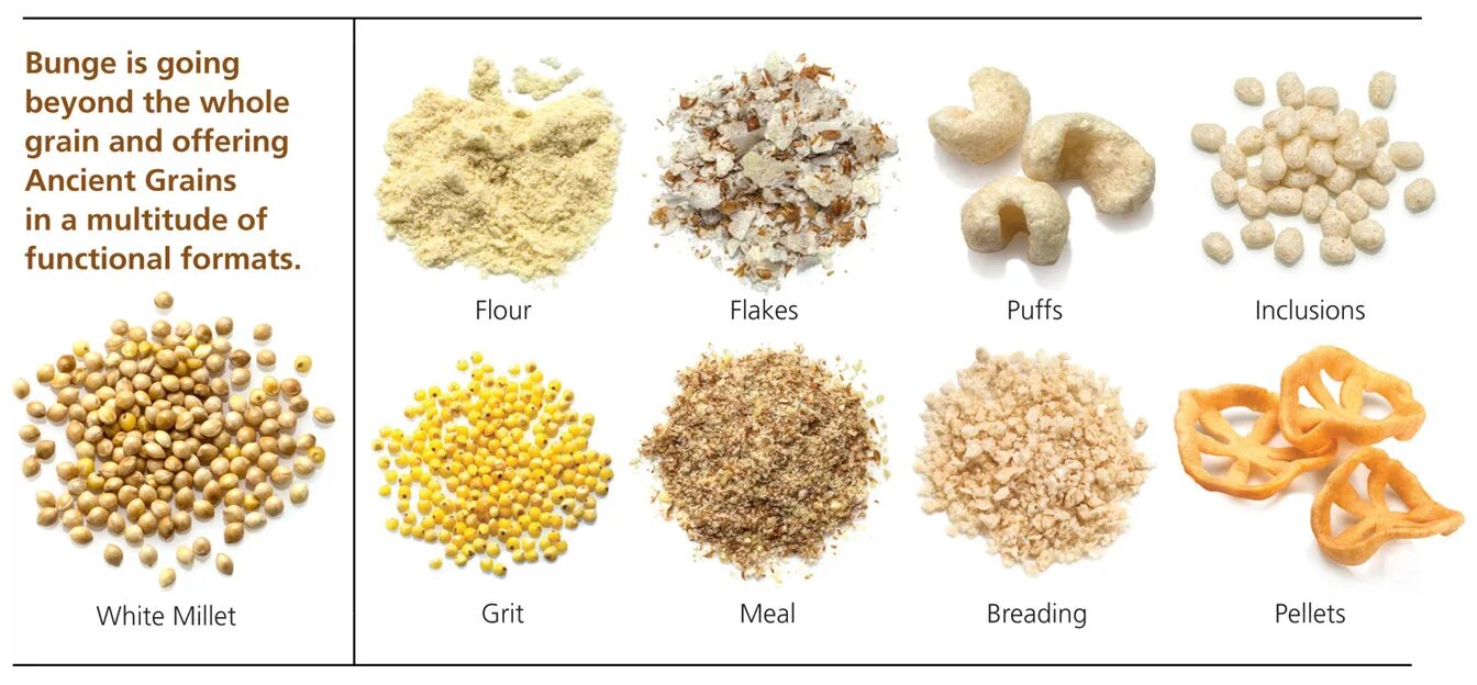 Grain перевод на русский. Название круп на английском языке. Grains vocabulary. Verpia grain с зерновой. Grain перевод на русский.