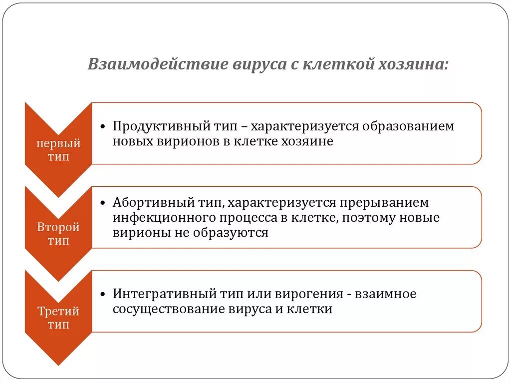 Типы и этапы взаимодействия вирусов с чувствительной клеткой. Этапы и типы взаимодействия вируса с клеткой. Взаимодействие вируса с клеткой хозяина. Типы взаимодействия вируса с клеткой хозяина.