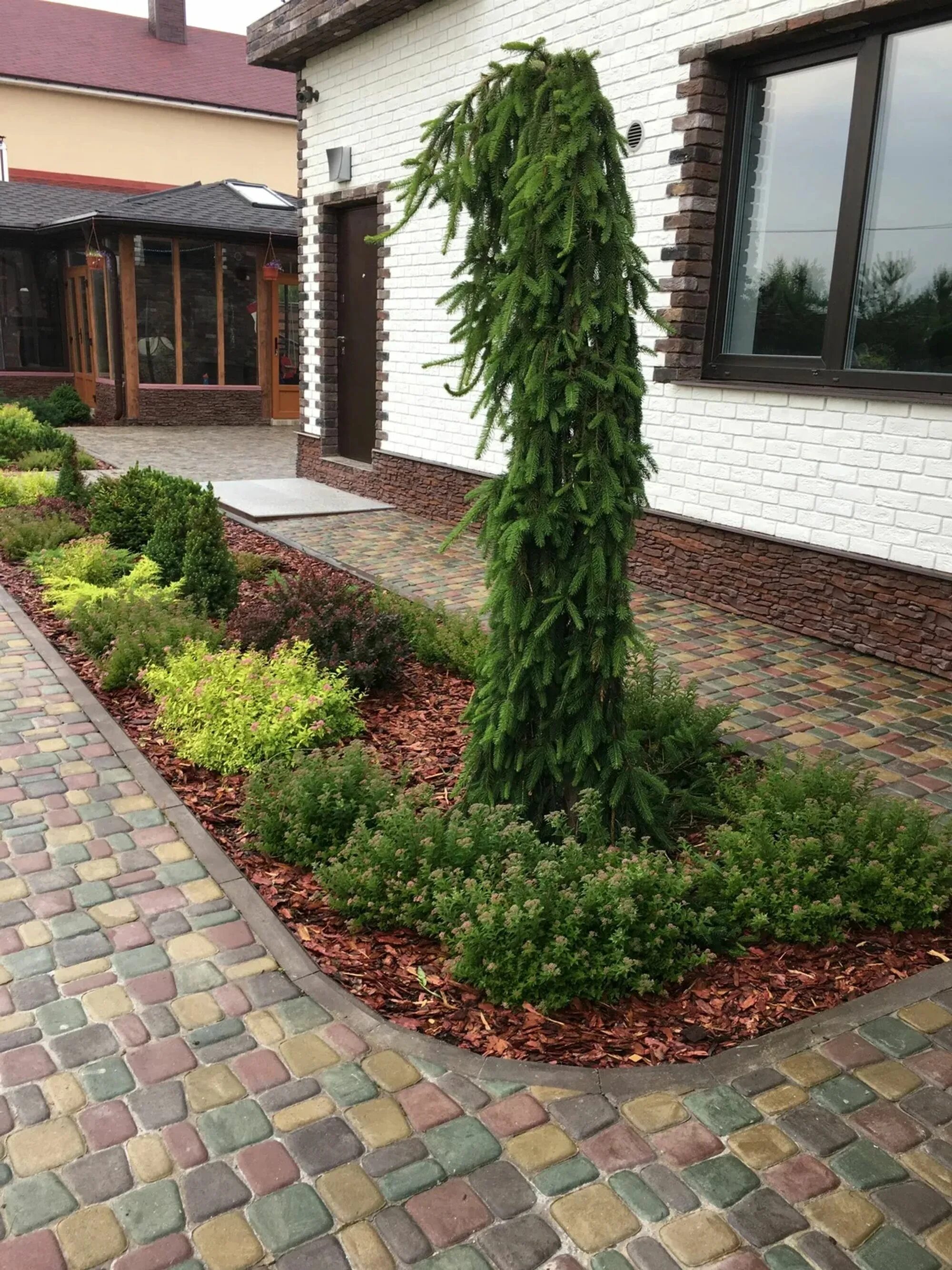 Pin by Vil Vil on Hm in 2023 Garden design, Conifers garden, Landscape design