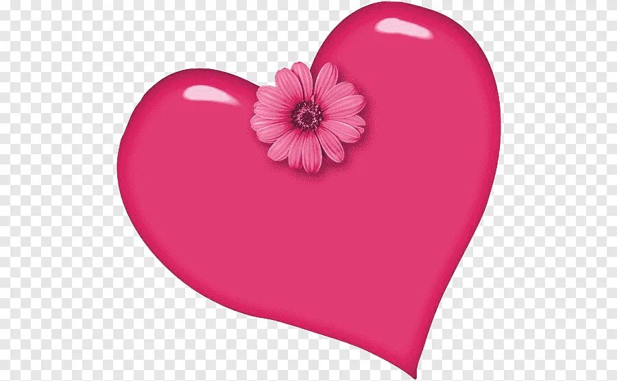 Красивое сердечко розовое. Большое сердечко. Розовое сердце. Розовые сердечки. Нежные розовые сердечки.