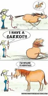 Пашу как лошадь