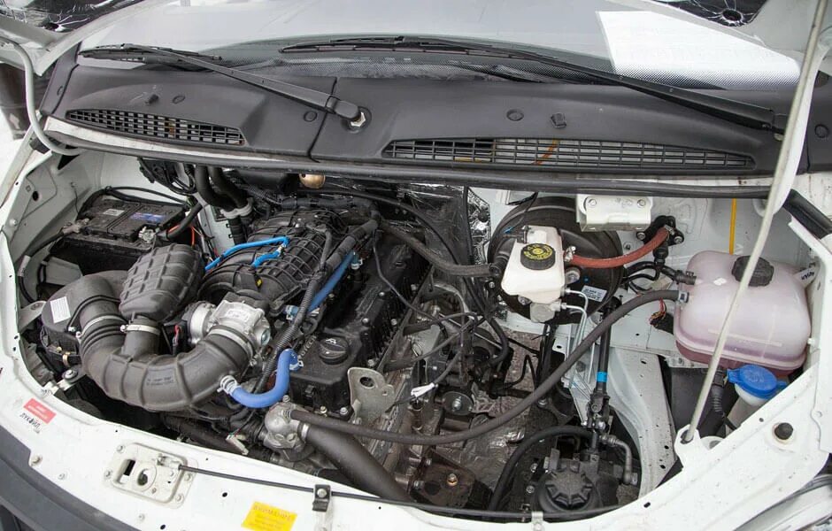 7 газель некст. Умз-а274evotech. Умз-а275 evotech. Газель бизнес двигателя evotech. Двигатель а275 evotech.