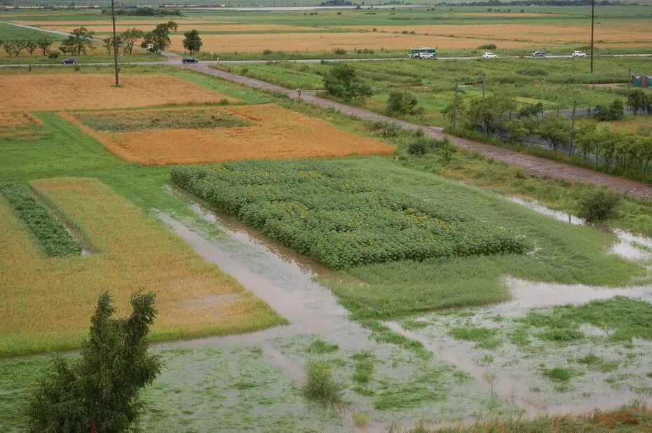 переувлажненные почвы. подтопление и заболачивание почв. переувлажненные почвы. переувлажненные почвы. переувлажнение почвы.