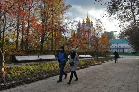 Сходить в москве в ноябре