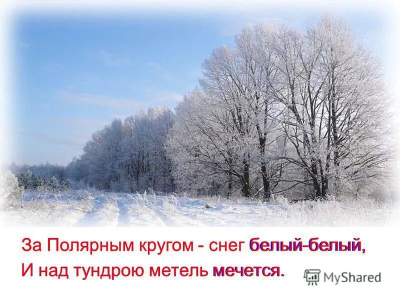 белый белый остров белый белый снег