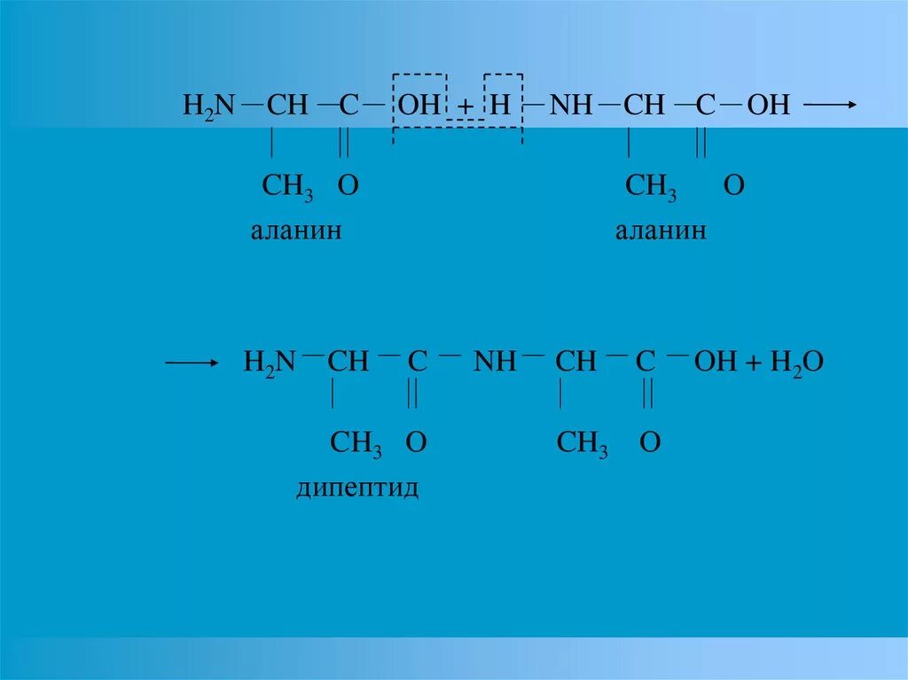 H2n ch3. Дипептид аланина+o2. h2n ch2 c n ch. аланин аланин дипептид. аланин +ch3-nh2.
