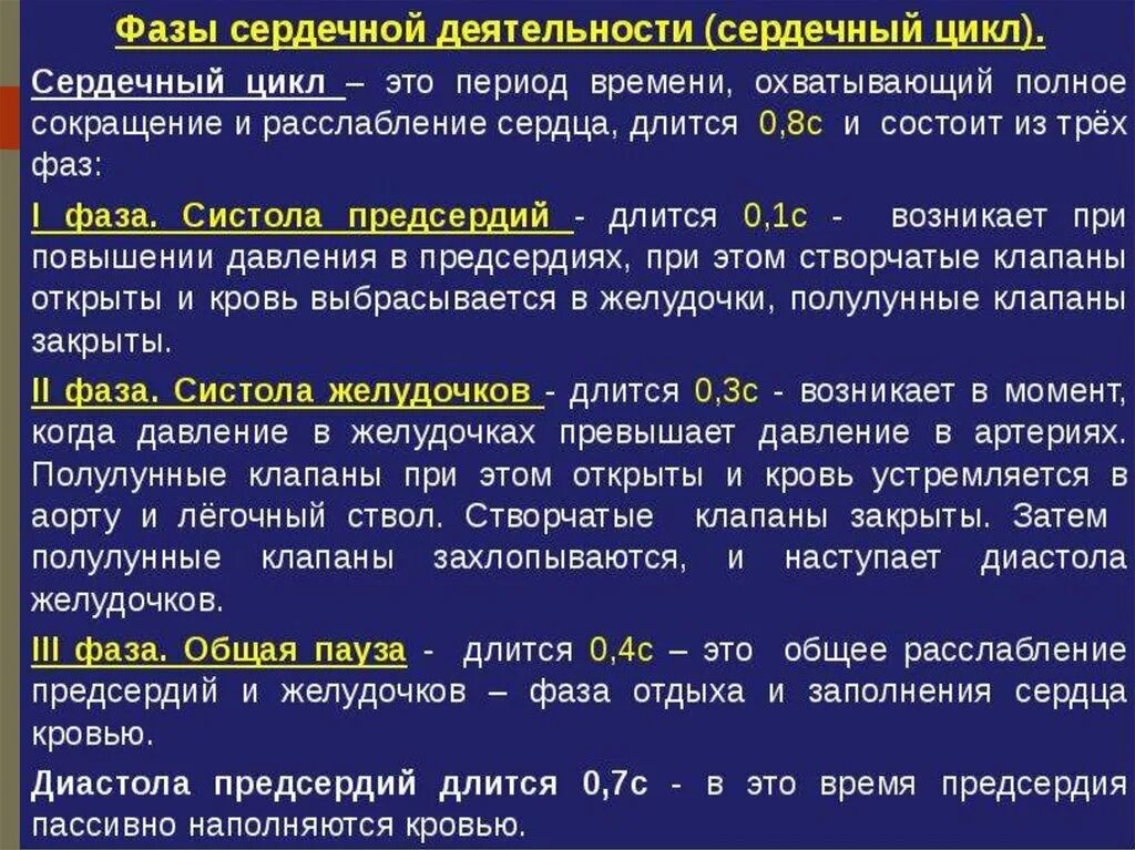 Период активности когда уровень физиологических функций высок. Характеристика фазы сердечной деятельности. Фазы деятельности сердца физиология. Что такое фазы сердечной деятельности кратко. Сердце фазы сердечной деятельности.