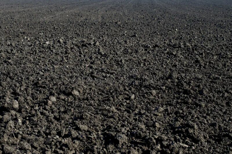 Вспаханный после зимы участок. Сон видеть вспаханную землю. Вспаханная земля. Ид вспаханной земли. 3d вспаханное.