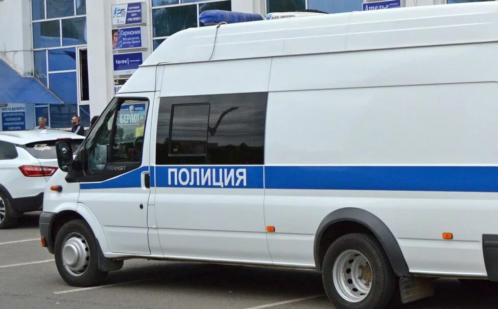 Газели елец