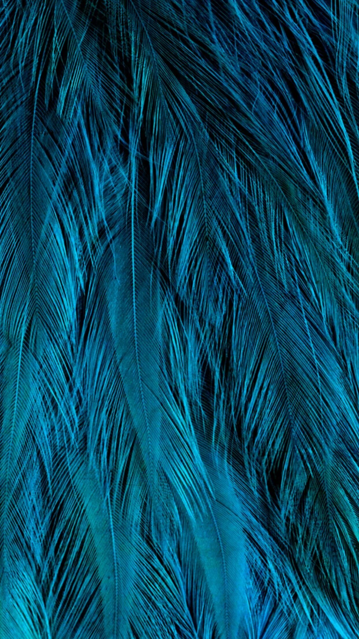 Зеленые обои. Изумрудный цвет. Сине-зелёный цвет. Фактура перьев. Темно зеленый фон.