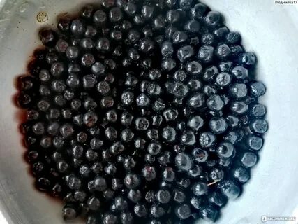 Черноплодная рябина рецепты приготовления от давления