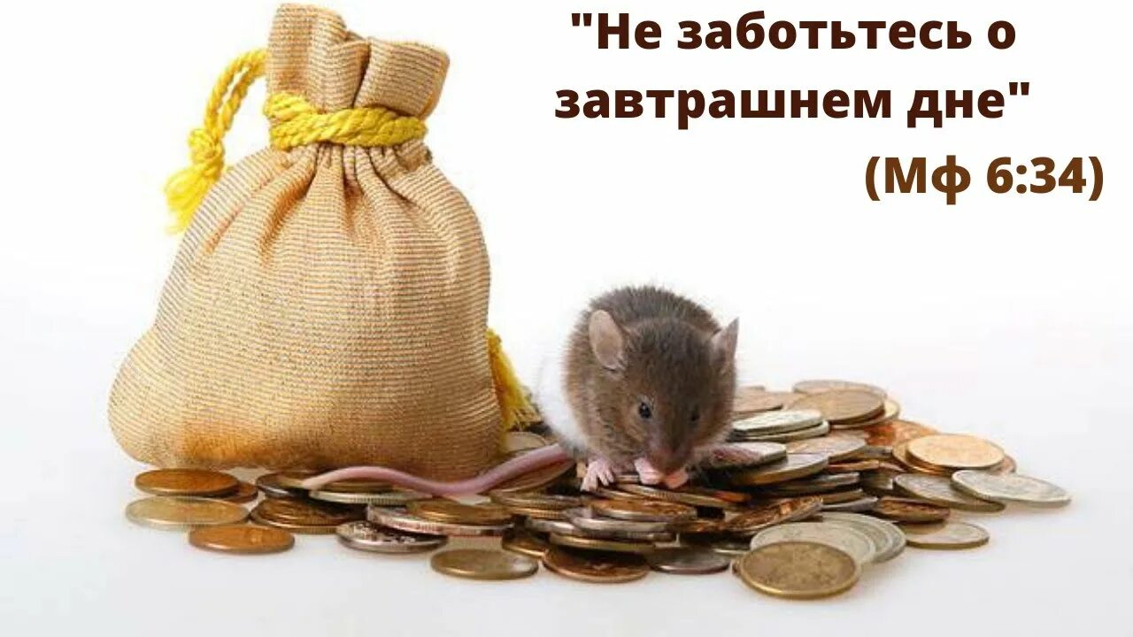 Мышь с деньгами. Крыса с мешком денег. Резервный фонд. Не заботьтесь о завтрашнем дне