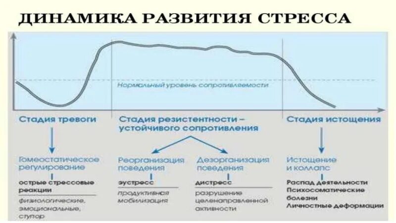 Динамика стресса. Ганс Селье теория стресса. Стресс Триада Селье. Развитие стресса. Стадии развития стресса.