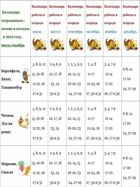 Календарь посадки январь 2024