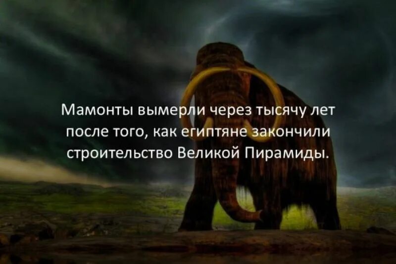 интересные факты. интересные и забавные факты. интересное обо всем на свете. интересные факты обо всем. удивительные факты.