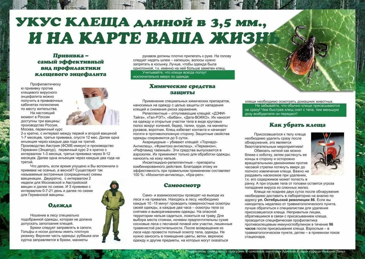 Энцефалитный клещ отряд. Мероприятия по клещевому энцефалиту. Клещевой боррелиоз памятка. Памятка по клещевому энцефалиту. Памятка по вакцинации от клещевого энцефалита.