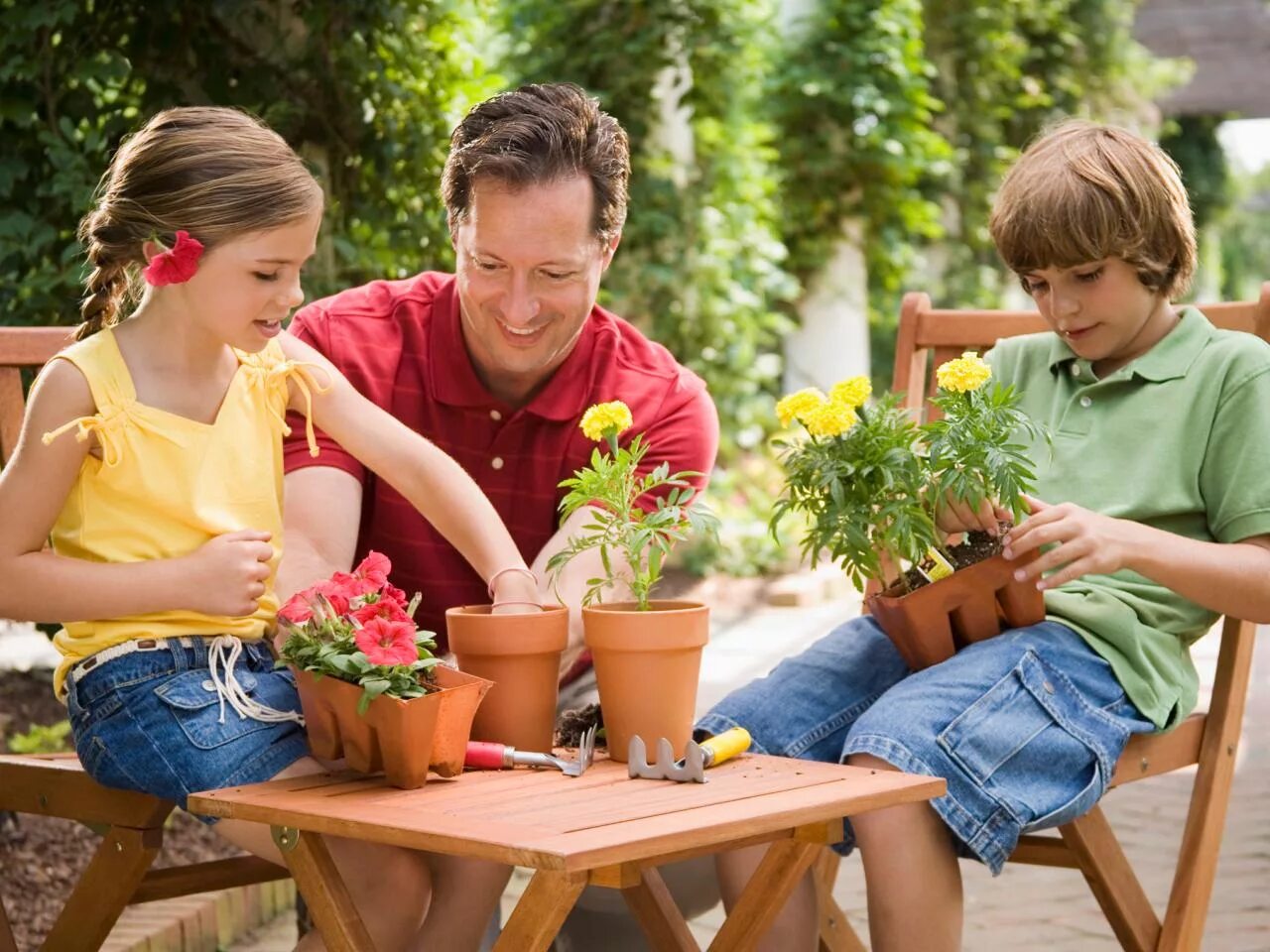 Комнатные растения для детей. Растения сада для детей. Дети с комнатными цветами. Мини-сад для детей. Family tools
