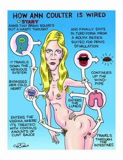 Ann coulter's tits - Porn comic, Rule 34 comic, Cartoon porn comic - d...