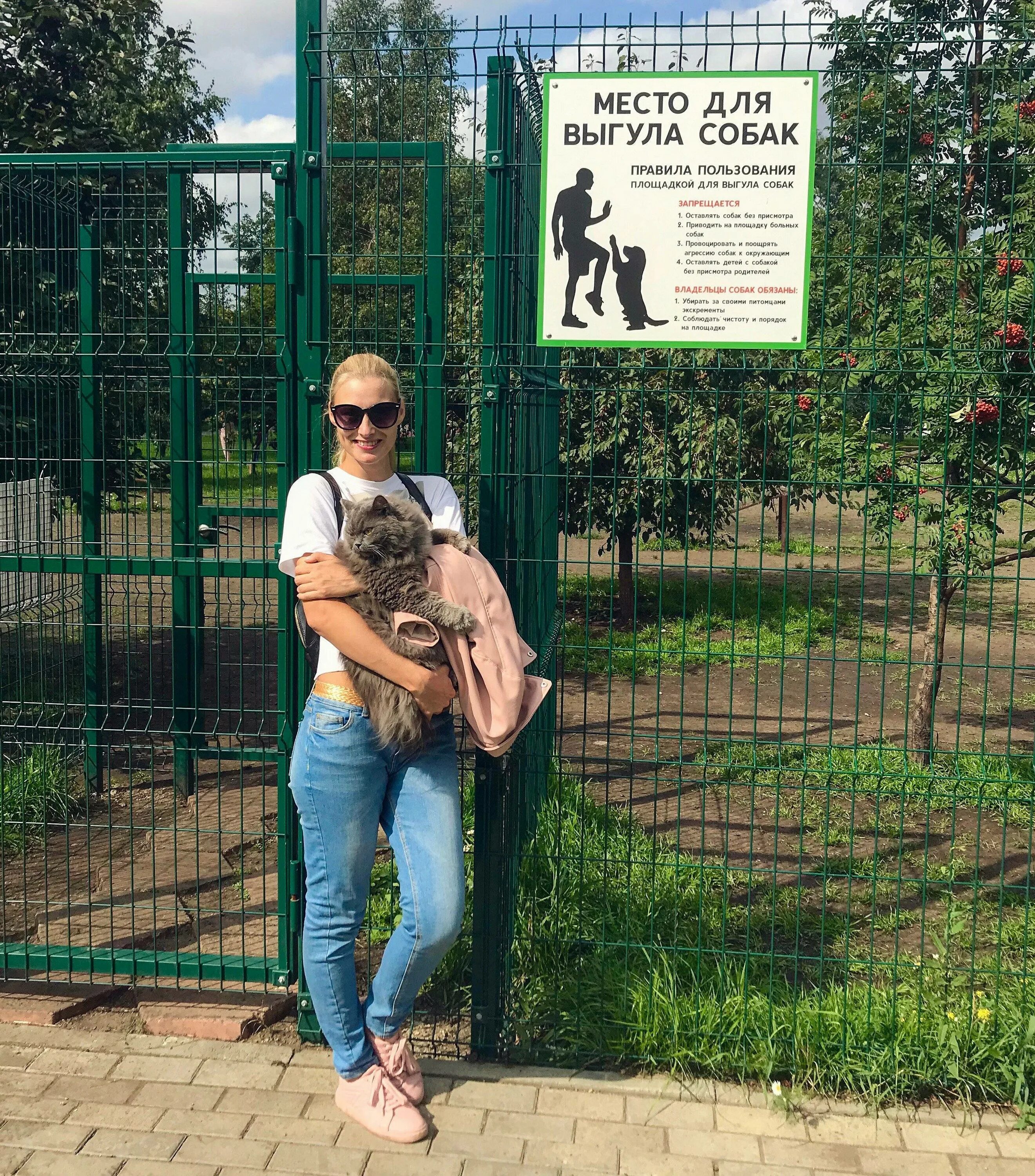 Выгул собак в общественном месте. Выгул собак. место для выгула собак. правила выгула собак. площадки для собак челябинск.