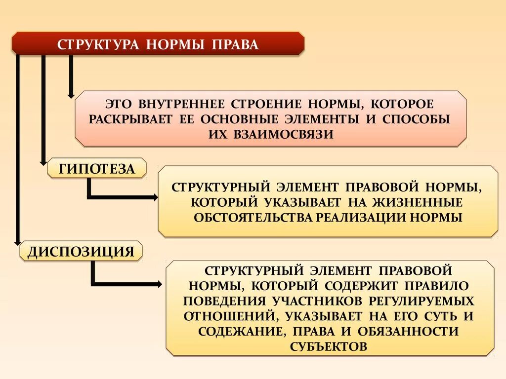 Элементы правовой нормы. Ооо право норм