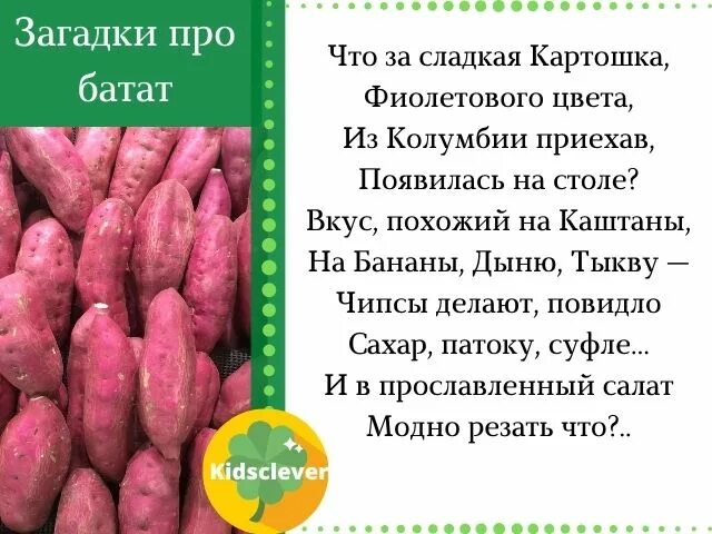 Батат бжу. Загадка про батат. Батат на что похож по вкусу. Батат на вкус похож на что. Загадки про овощ батат.