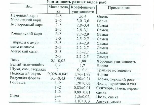 Размер сома по возрасту таблица Максимальный Вес * Praise-турниры * РУССКАЯ РЫБАЛКА