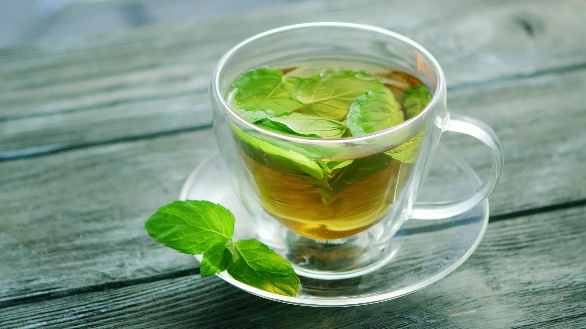Мята чай для женщин. Теа минт. Зеленый чай. Мятный чай. Чашка зеленого чая.