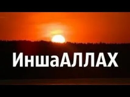 Прокурормен порно видео көру