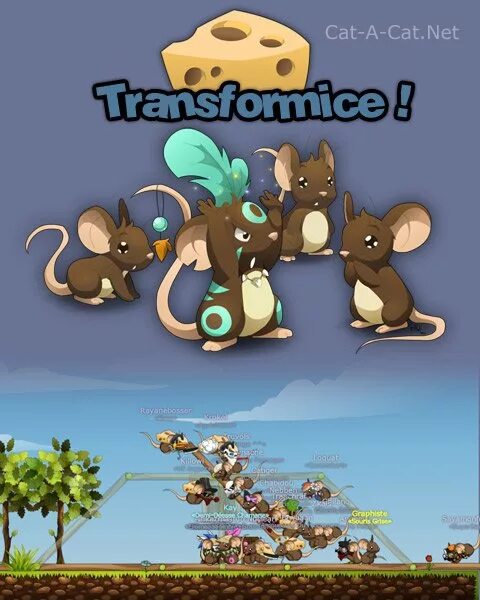 Transformice играть. Transformice играть. Мышь трансформайс. Мыши игра трансформайс. Трансформайс адвентуре.