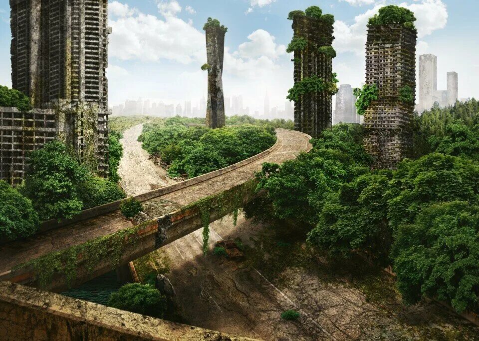Будущее планеты жизнь после людей 2008. Земля без людей. Заросший город.