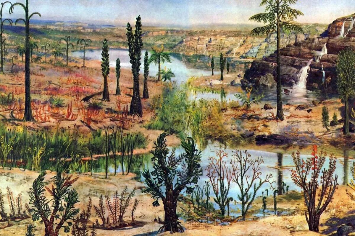 каменноугольный период палеозойской эры растения. псилофиты силур. псилофиты отпечатки. отпечатки древних растений на камнях. первые древние растения.