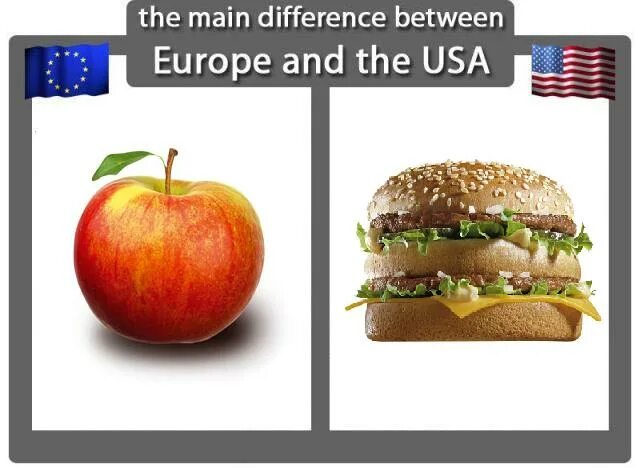 Difference between Europe and USA. Amusing amused разница. Difference between us and USA. The way between USA and Europe.